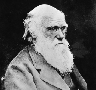 Datei:ChartesRobert Darwin.jpg