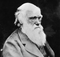 Vorschaubild für Datei:ChartesRobert Darwin.jpg